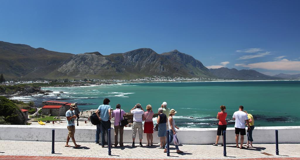 Hermanus Boutique Guest House Dış mekan fotoğraf
