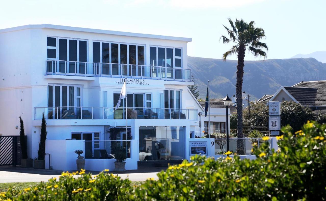 Hermanus Boutique Guest House Dış mekan fotoğraf